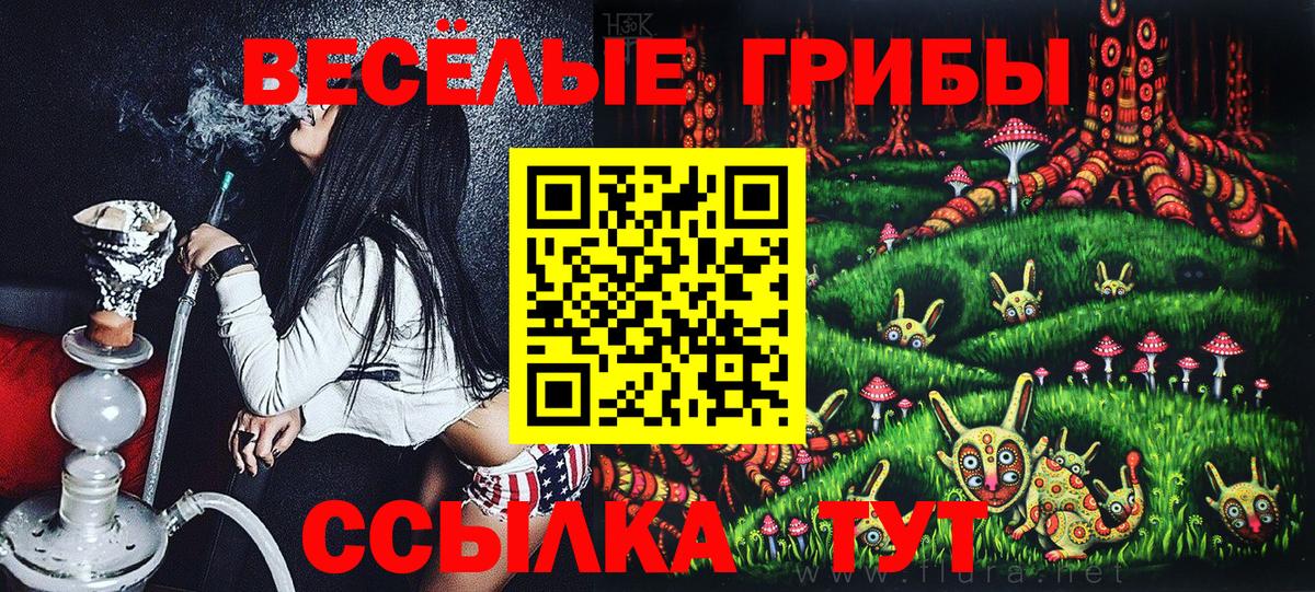 Псилоцибиновые грибы мухоморы Павловский Посад