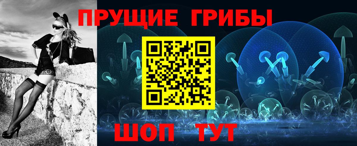 Павловский Посад  Галлюциногенные грибы GOLDEN TEACHER  Вход с VPN 